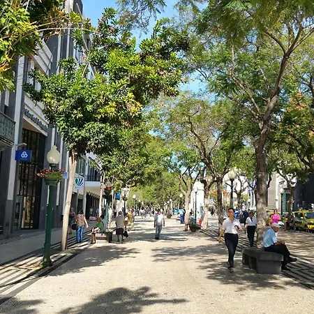 Apartamento Edificio Charles 102 *